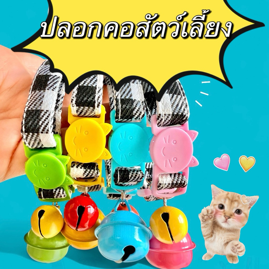 #พร้อมส่ง ปลอกคอแมว 🐈 #ปลอกคอสัตว์เลี้ยง รุ่น Scotty ราคาถูก