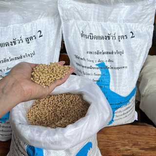 อาหารไก่โปรตีน19 สูตร2ไก่(2เดือนขึ้นไป) อาหารไก่ 1 ถุงบรรจุ 4 กิโลกรัม