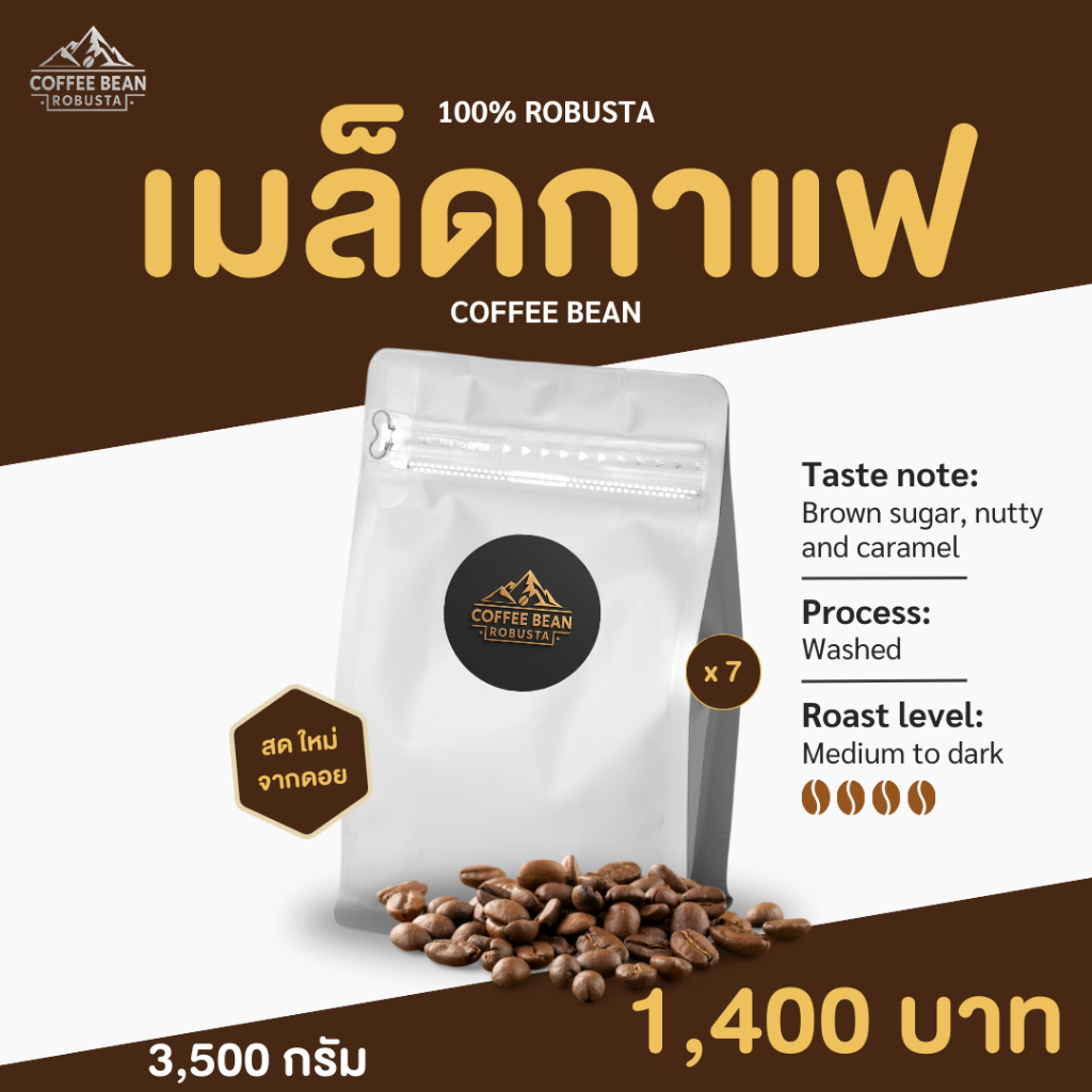 เมล็ดกาแฟ โรบัสต้า Coffee Bean Robusta 100% 3,500g