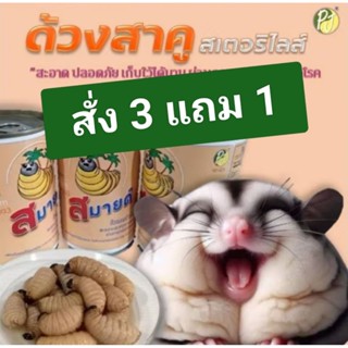 ด้วงชีสสเตอริไลส์ (ผ่านการฆ่าเชื้อโรค) สั่ง 3 แถม 1 อาหารชูก…
