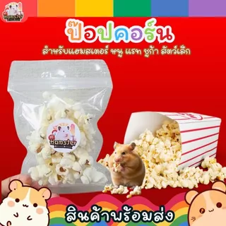 ป๊อปคอร์นสำหรับแฮมสเตอร์ หนูแรท หนูแกสบี้ ชูก้า กระรอก แฟทเทล ขนมสัตว์เล็ก ขนมทานเล่น