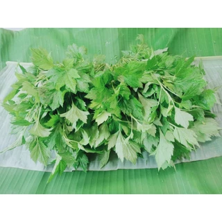 เมล็ดพันธุ์จิงจูฉ่าย 90-200 เมล็ด ปลูกง่ายในพื้นที่จำกัด ดูแลไม่ยุ่งยาก ปลูกง่าย โตไว แม้ในกระถาง (10แถม1คละได้)