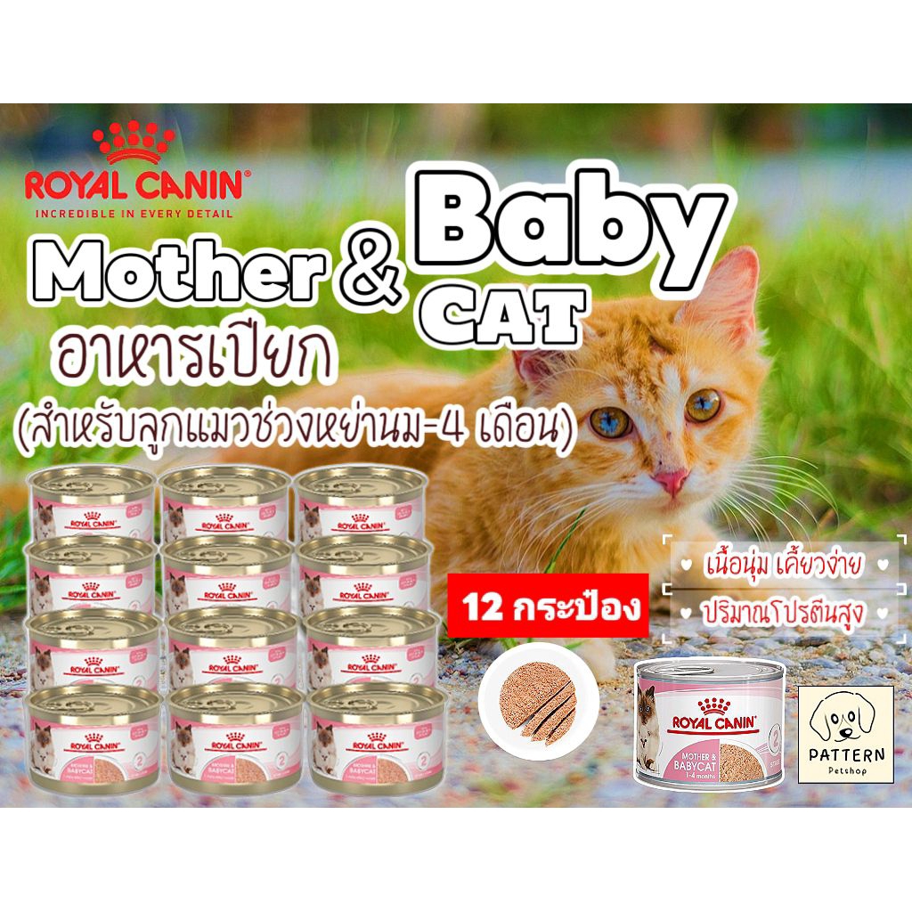 Royal Canin Mother & Baby cat อาหารเปียกสำหรับลูกแมวช่วงหย่านม-4 เดือนและแม่แมวตั้งท้องให้นมลูก
