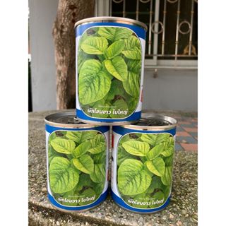 ผักโขมขาว ผักโขมน้อย ผักโหม บรรจุ 80 กรัม