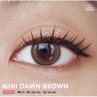 Kitty Kawaii Contact Lens : Mini Dawn คอนแทคเลนส์คิตตี้ คาวาอิ พัส