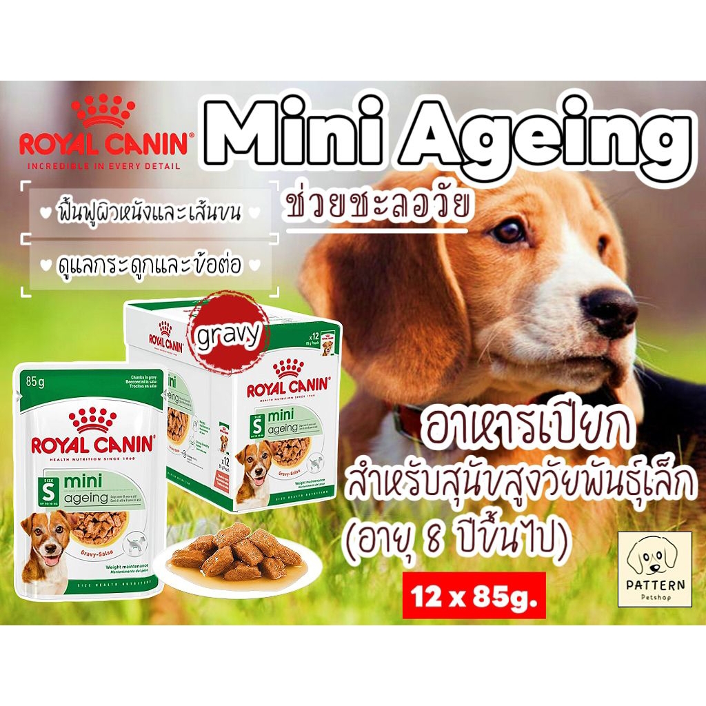 Royal Canin Mini Ageing 12+ อาหารชนิดเปียกสำหรับสุนัขสูงวัยพันธุ์เล็ก อายุ 8 ปีขึ้นไป ขนาด 1 กล่อง