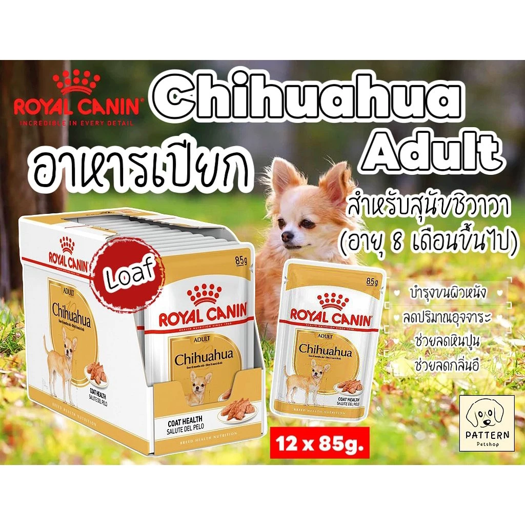 Royal Canin Chihuahua Adult อาหารเปียกสำหรับสุนัขสายพันธุ์ชิวาวาโตเต็มวัยอายุ 8 เดือนขึ้นไป