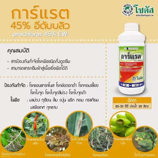 ✨ "การ์แรต" (โพรคลอราซ45%) ✨ สูตร EW ปลอดภัยต่อดอก ป้องกันกำจัดโรคแอนแทรคโนส โรคดอกเน่า โรคช่อดอกดำ โรคผลเน่า