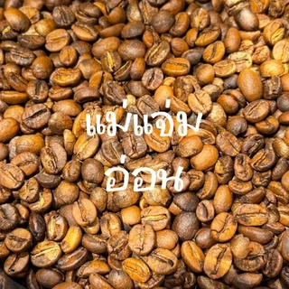 บดฟรี-แม่แจ่ม เชียงใหม่ อาราบิก้า☕️