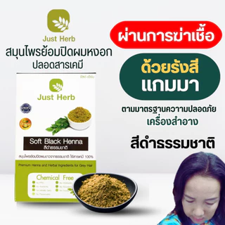 สมุนไพรย้อมหงอก 6 สี ผ่านแกมมาฆ่าเชื้อจุลินทรีย์ ผงพืชล้วน ไร้เคมี 100% จัสต์ เฮิร์บ Just Herb