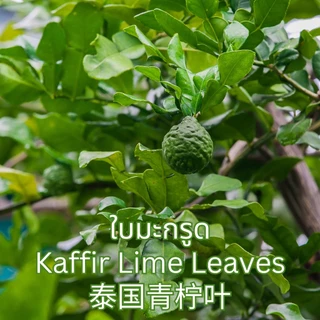 ชาใบมะกรูด ตราไร่กฤติยา (Kaffir Lime Leaf Tea) ชาสมุนไพร กลิ่นหอมสดชื่น