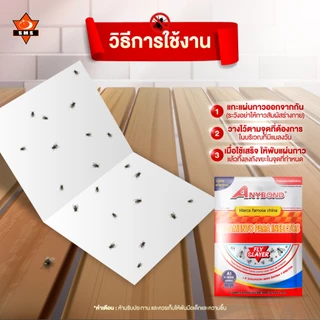 กาวดักแมลงวัน ANYBOND 1ซอง 10แผ่น ขายส่ง🔥 ZYZ-12