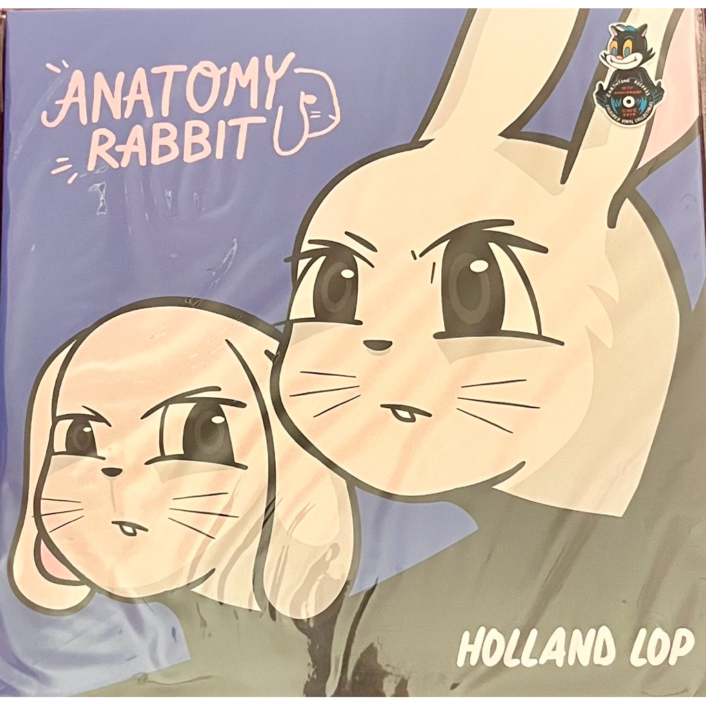 แผ่นเสียง Vinyl Anatomy Rabbit 🐰 : อัลบั้ม Holland Lop 2nd Pressing