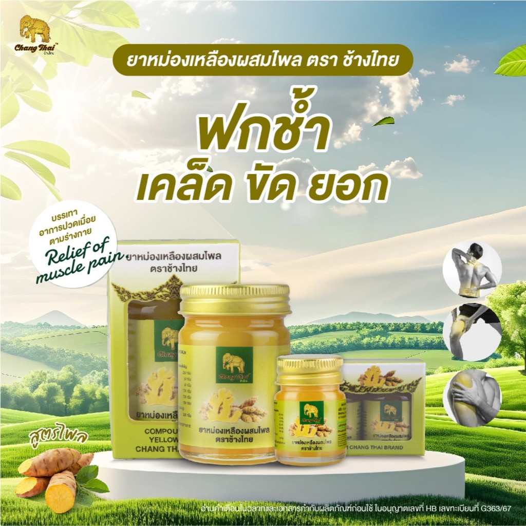 ยาหม่องสีเหลืองผสมไพล ตราช้างไทย