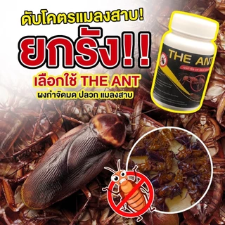 โปรมด 12 กระปุก (6 แถม 6 ) The Ant ผงกำจัด มด ปลวก แมลงสาบ📍 จัดหนักจัดเต็มไปเลยค่ะ📍