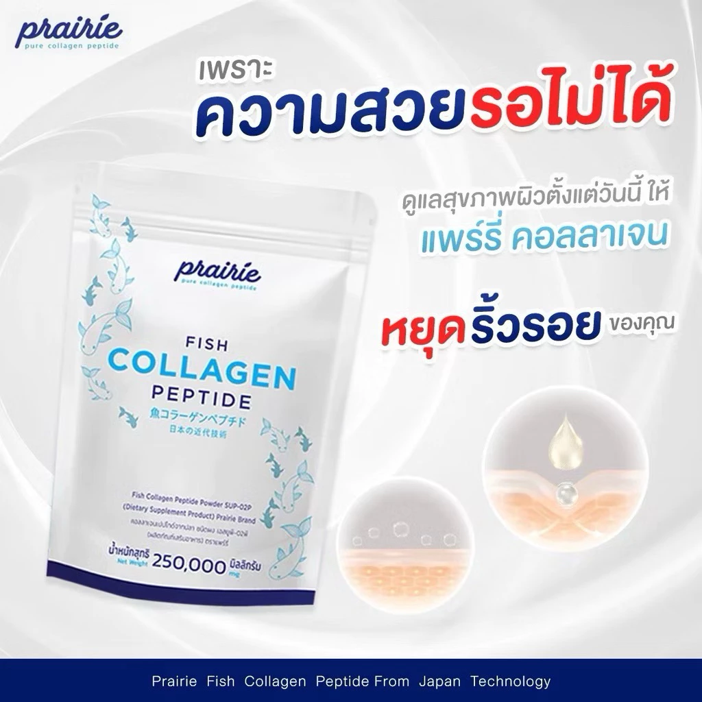 แพร์รี่คอลลาเจนเปปไทด์ ผลิตภัณฑ์เสริมอาหารเพื่อสุขภาพและ ผิวพรรณ