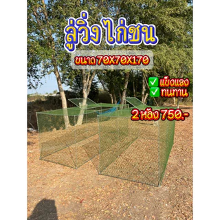 ลู่วิ่งไก่ชนเหล้กเส้น ขนาด 70 × 70 × 170 เซนติเมตร