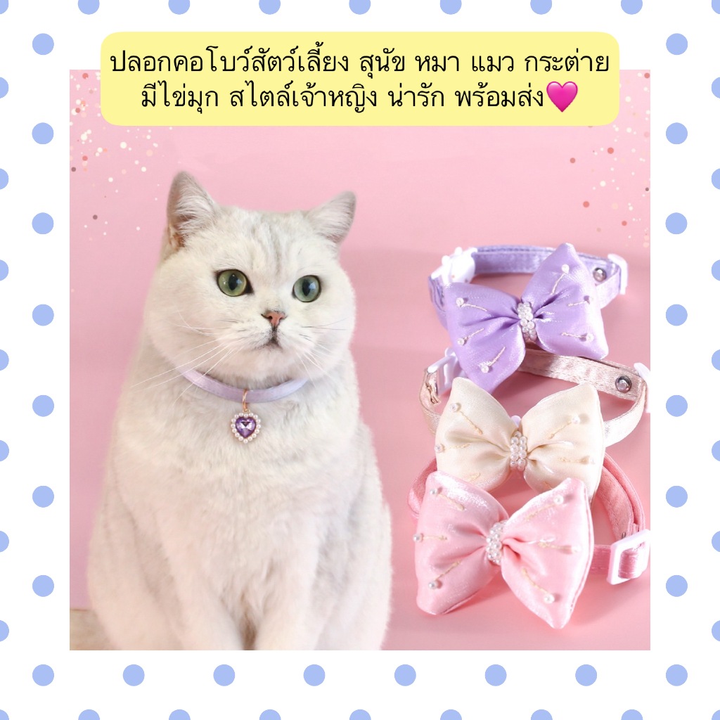 AL-1330 ปลอกคอโบว์สัตว์เลี้ยง สุนัข หมา แมว กระต่าย มีไข่มุก สไตล์เจ้าหญิง น่ารัก พร้อมส่ง🩷
