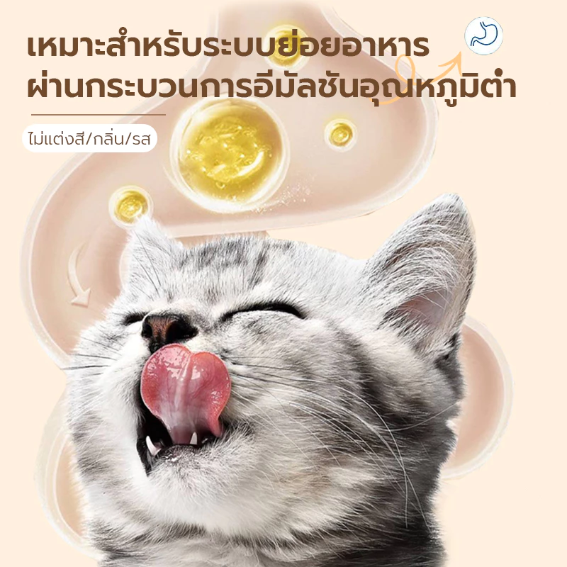 อาหารแมวเปียก ไก่ แซลมอน ปลาทูน่า thumbnail 6