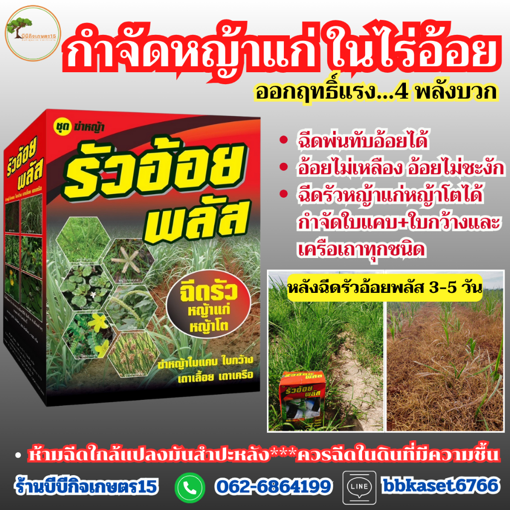 รัวอ้อยพลัส โฉมใหม่  สูตรอัพเกรดเพิ่มจำนวนยาในชุด มีถึง 4 ตัว ออกฤกธิ์เร็วแรง ครบจบชุดนี้