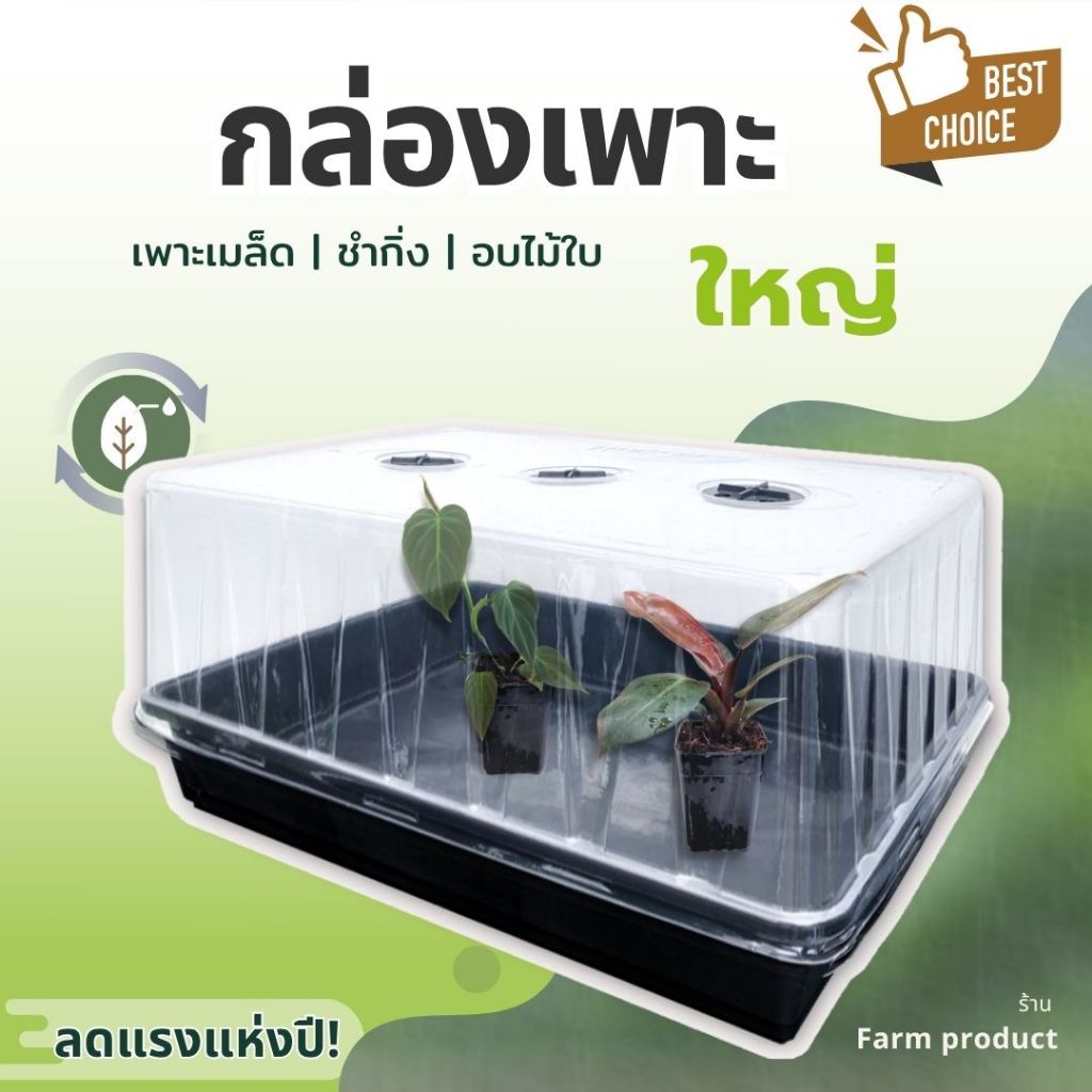 [ส่งไว] ถาดไดโซะ พร้อมฝาสูง + กระถาง I ชุดเพาะเมล็ด เพาะกล้า โปรคุ้ม