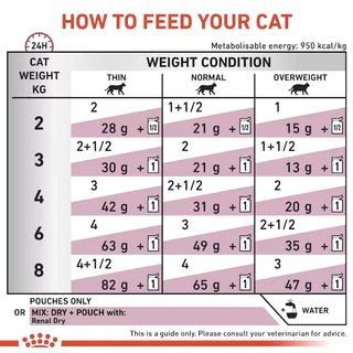 Royal Canin Vet Cat อาหารแมวเปียกรักษาโรคไต เนื้อ เกรวี่ Renal W/Fish 85g*12 ซอง