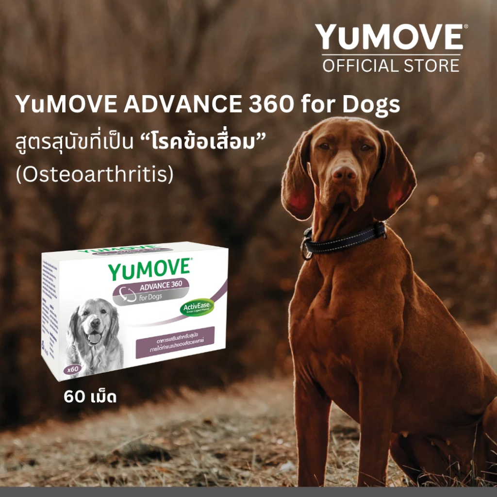 YuMOVE ADVANCE 360 for Dogs (60 เม็ด) สูตรดูแลข้อต่ออย่างครบถ้วนสำหรับสุนัขที่มีภาวะข้อเสื่อมแล้ว