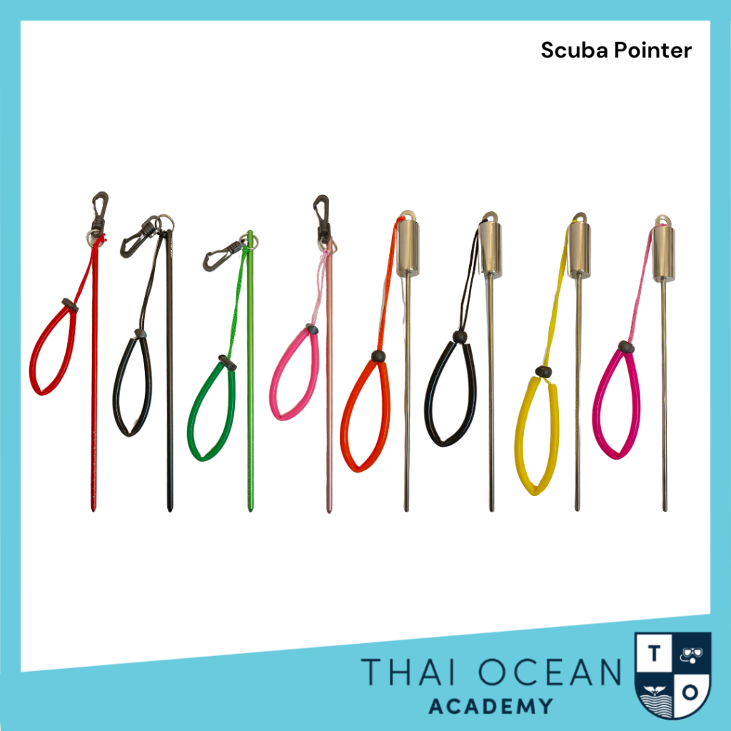 Scuba Pointer & Ring พ้อยเตอร์สำหรับดำน้ำแบบธรรมดาและมีกระดิ่ง