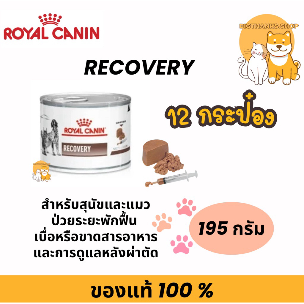 [จำนวน 12 กระป๋อง] Exp 04/27 Royal canin Recovery can  อาหารสุนัข-แมว สัตว์ป่วย พักฟื้น