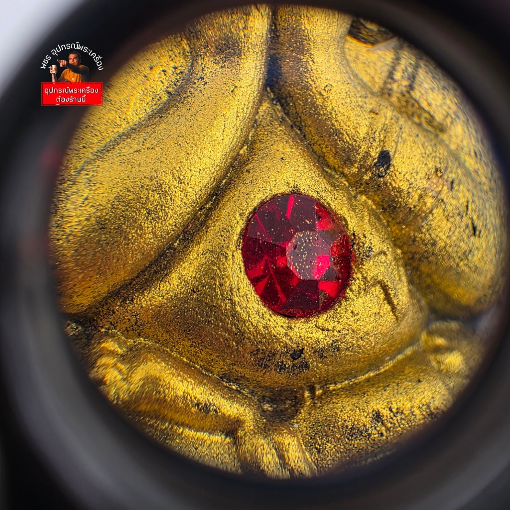 รูปภาพ 7