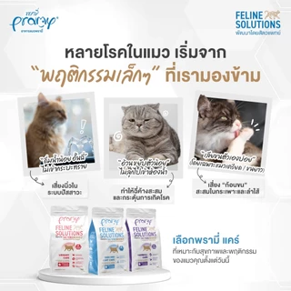 Pramy Feline Solution อาหารแมวสูตรใหม่ พรามี่ แคร์ พัฒนาโดยสัตวแพทย์ มี2ขนาด 1Kg และ 2.3Kg.