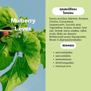 ผงใบหม่อน (Mulberry Leves Powder) บรรจุ 100 กรัม