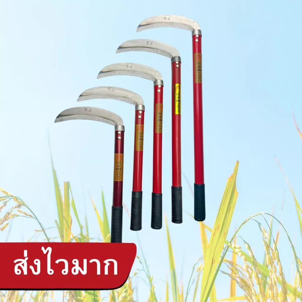 เคียวเกี่ยวข้าว เคียวตัดหญ้า อุปกรณ์การเกษตร