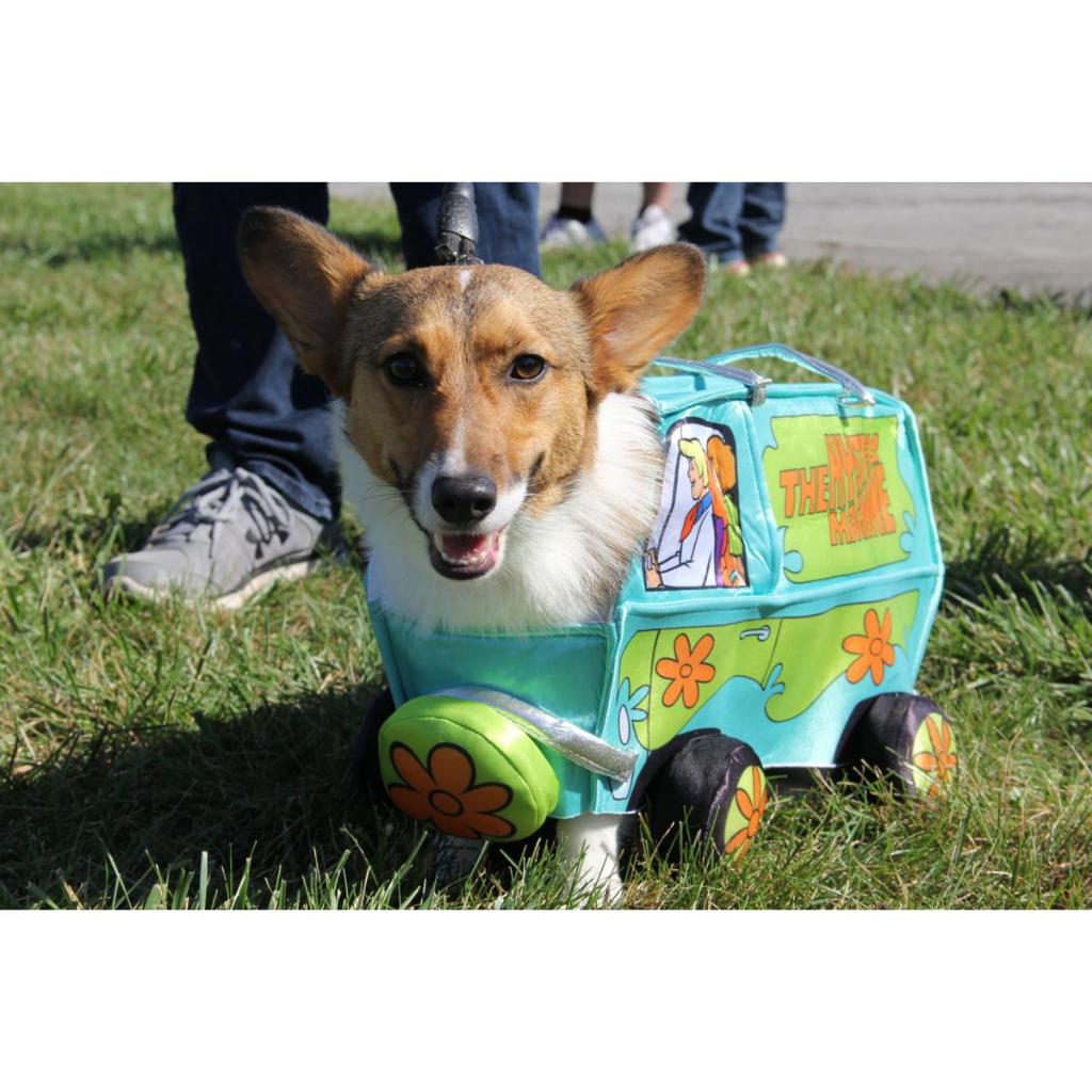 FDA test FDA test FDA test FDA test