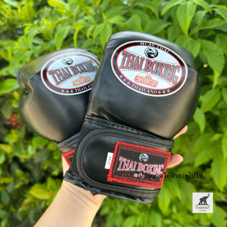 TP012 นวมชกมวยสำหรับเด็ก 🥊 ใส่ซ้อมได้ ราคาส่ง งานคุณภาพเกรดส่งออก