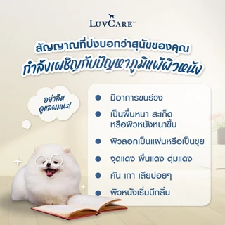 อาหารสุนัข Dr.LuvCare สำหรับสุนัขพันธุ์เล็ก เลิฟแคร์ ขนาด 2kg