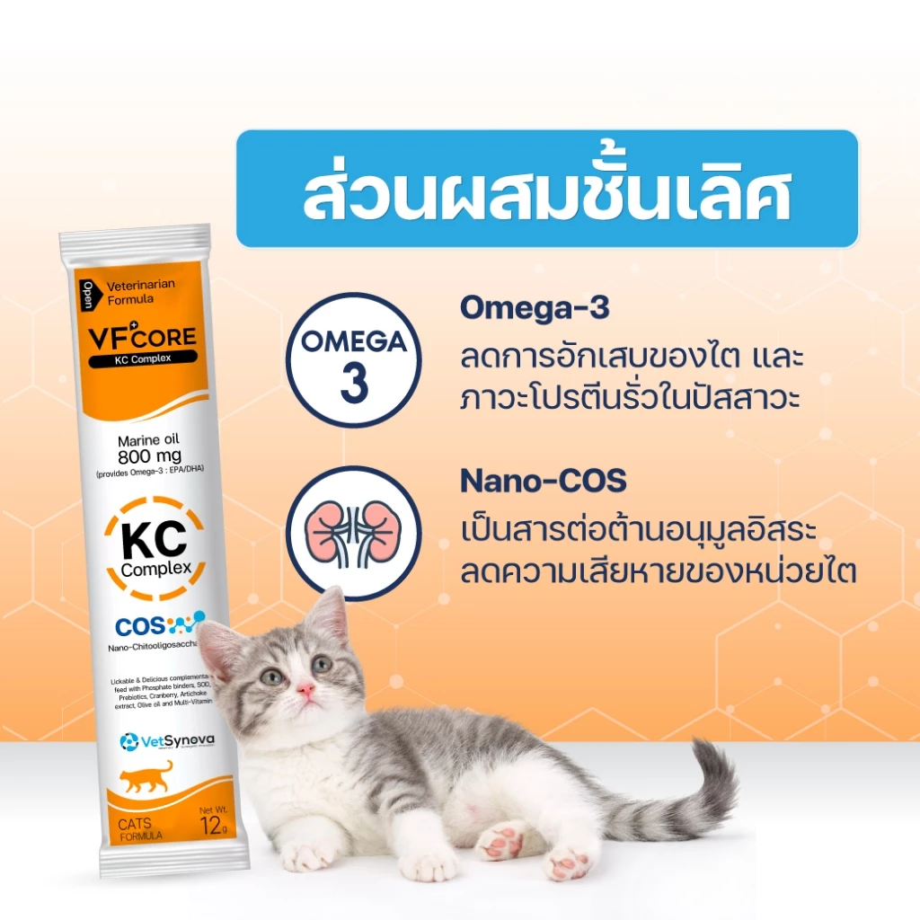 VF+core ขนมแมวเลีย 1ซอง บำรุงเลือด เสริมภูมิ วิตามินรวม thumbnail 9