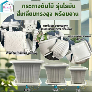 กระถางต้นไม้ รุ่นโรมัน สี่เหลี่ยม ทรงสูง พร้อมจาน ขนาด 7 นิ้ว 10 นิ้ว 14 นิ้ว