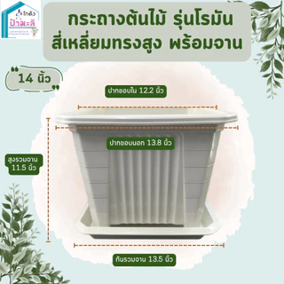 กระถางต้นไม้ รุ่นโรมัน สี่เหลี่ยม ทรงสูง พร้อมจาน ขนาด 7 นิ้ว 10 นิ้ว 14 นิ้ว