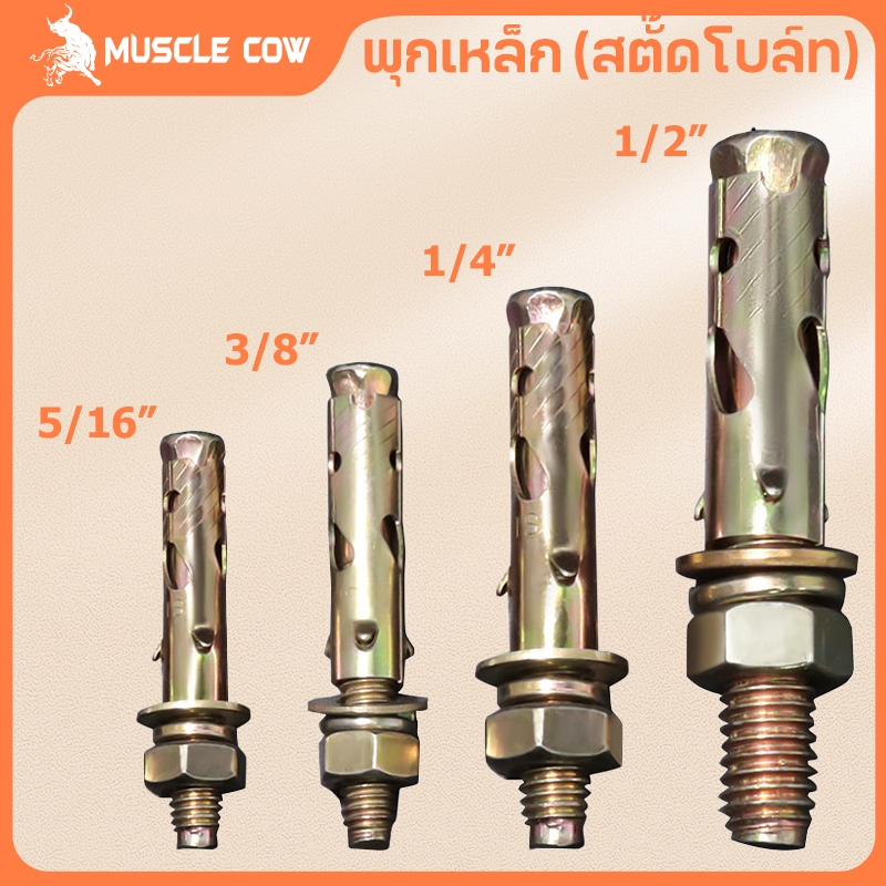 MUSCLE COW พุกเหล็ก (สตั๊ดโบล์ท) ปุ๊กเหล็ก ขนาด 1/4 , 5/16 , 3/8 , 1/2 , ชุบรุ้งป้องกันสนิม หกเหลี่ยม มีเขี้ยว