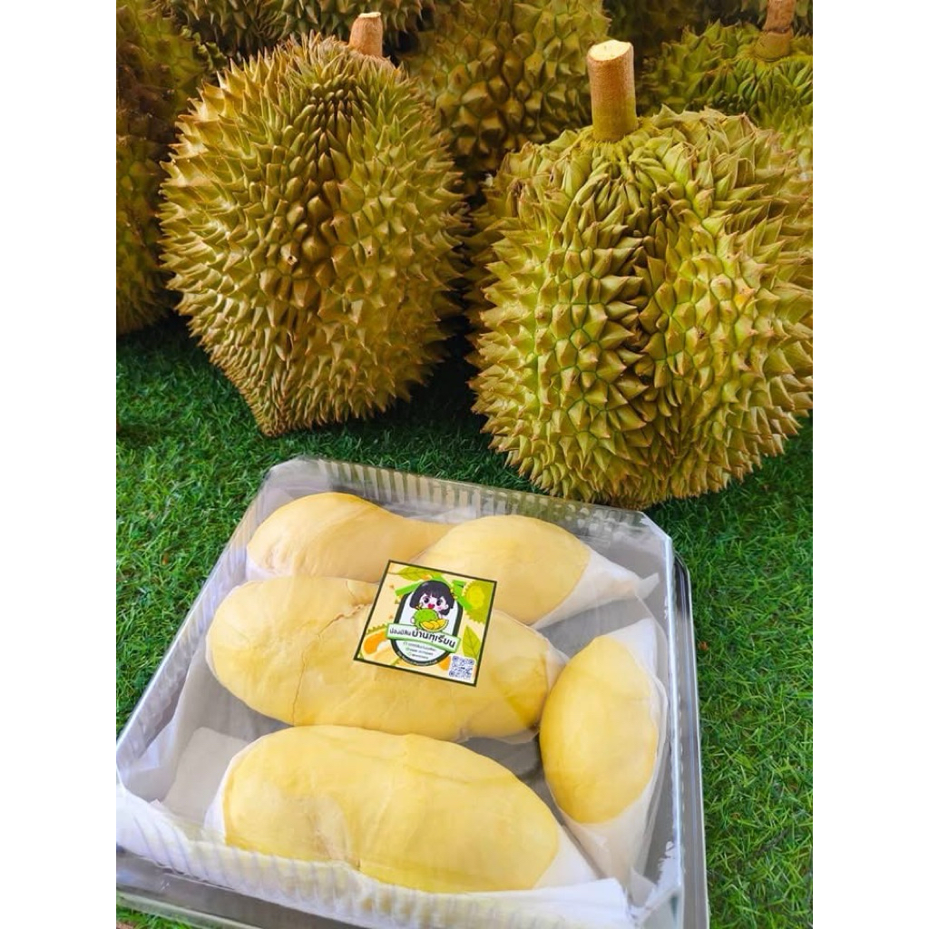 ทุเรียนหมอนทองเนื้อพรีเมี่ยม เลือกเนื้อได้ ส่งกทม. ปริมณฑล ภายใน 1-2 ชม. ต่างจังหวัดส่งรถเย็น 1-3 วัน ค่าส่งถูก - รูปที่ 2