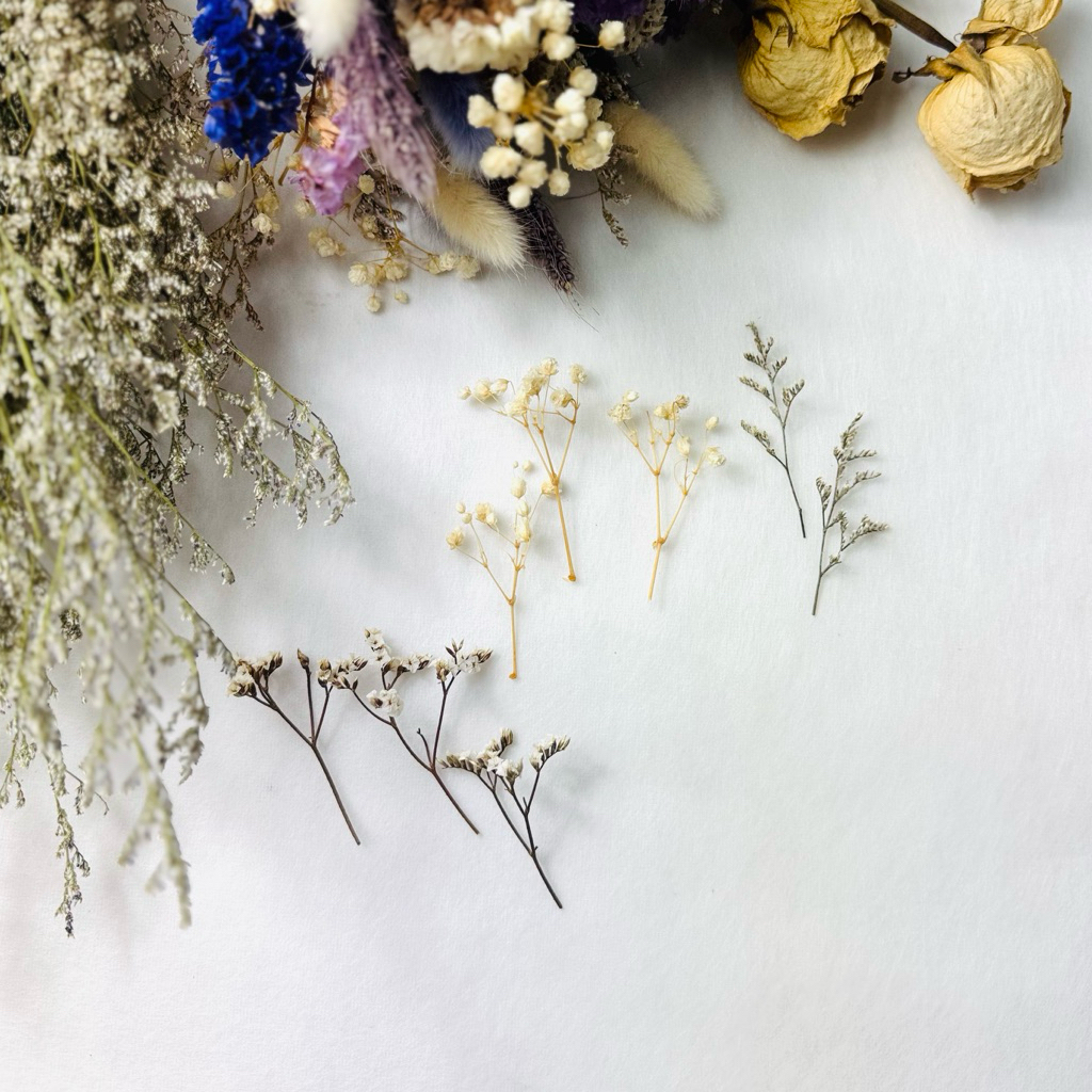 𝓁𝒾𝓁𝒾 ☆ ดอกไม้แห้งเฉพาะกิ่ง สำหรับงาน DIY ตกแต่งการ์ด ของชำร่วย scrap book งานเรซิ่น