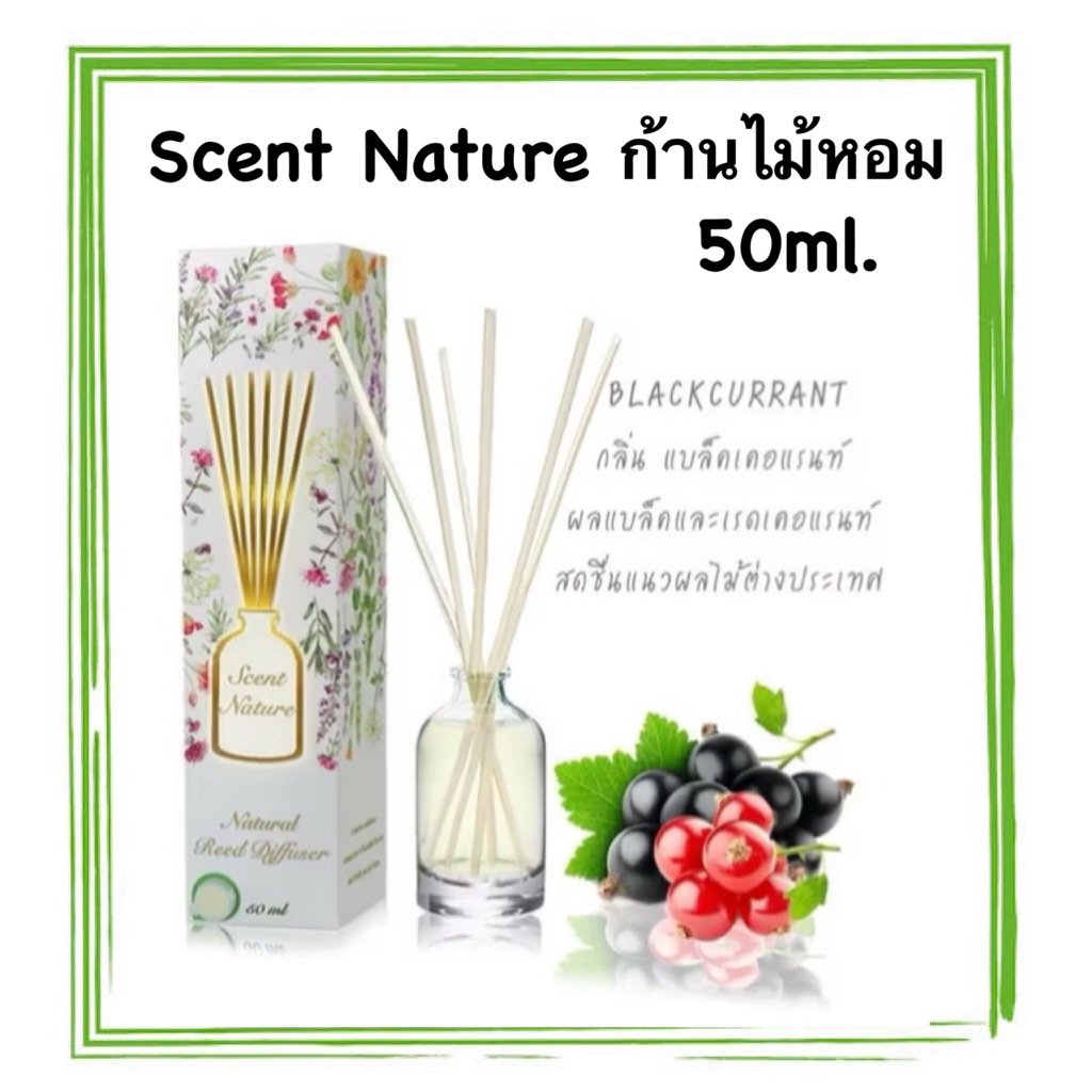 น้ำหอมไม้ปักอโรม่า กลิ่น blackcurrant แบรนด์ scent nature 50ml.