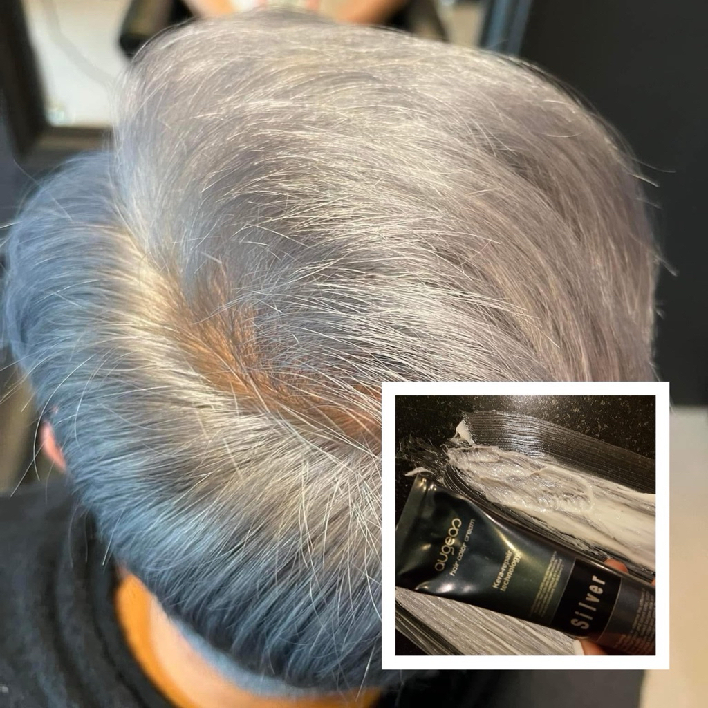 Hair Color ยาย้อมผมสีเทา ครีมย้อมผมสีเงิน silver Augeas