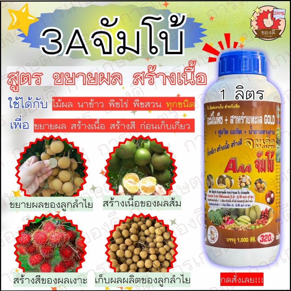 สร้างเนื้อ สร้างสี ขยายผลโตกับจะเด็ด สูตร 3เอจัมโบ้ อาหารพืชทางใบเพื่อขยายผล ขั้วเหนียว ป้องกันผลแตก 1 ลิตร
