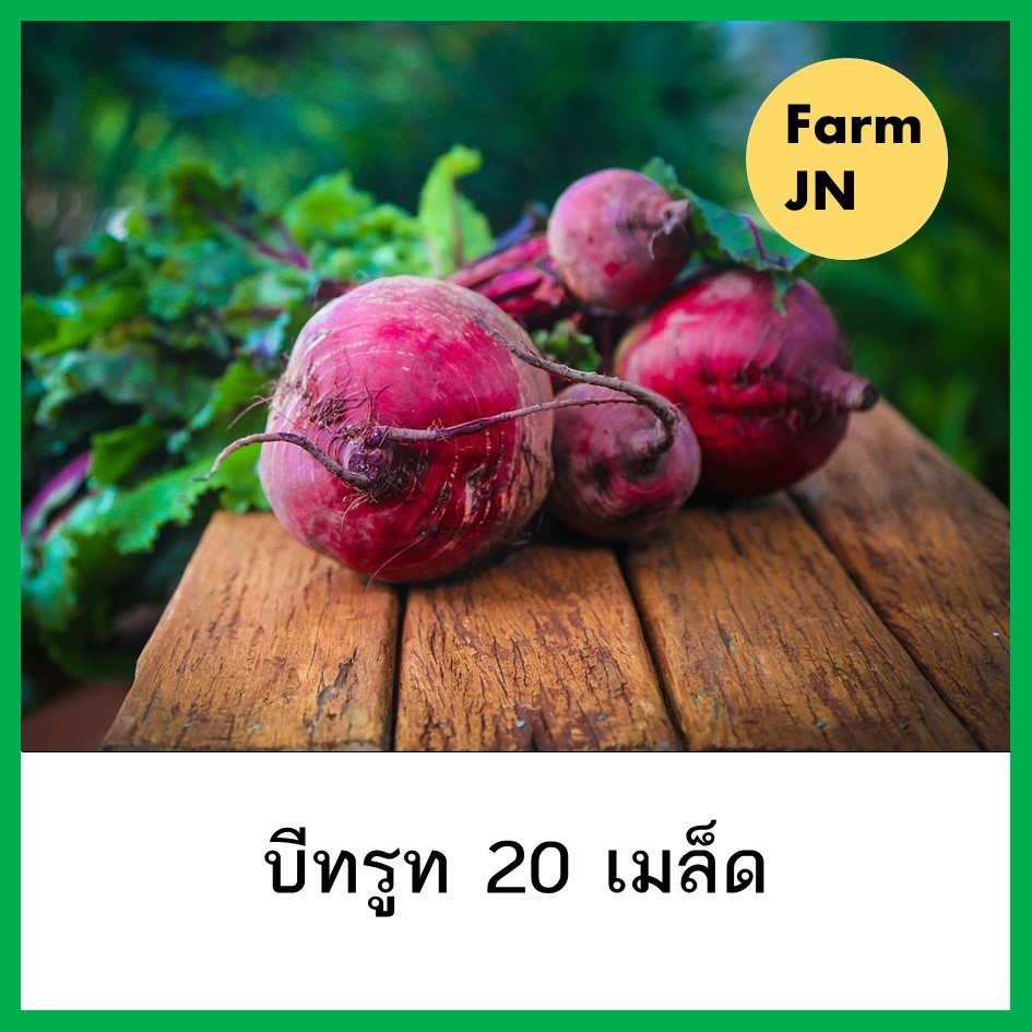 เมล็ดบีทรูท เมล็ดผัก 5 บาท เมล็ดพันธุ์จาก FarmJN