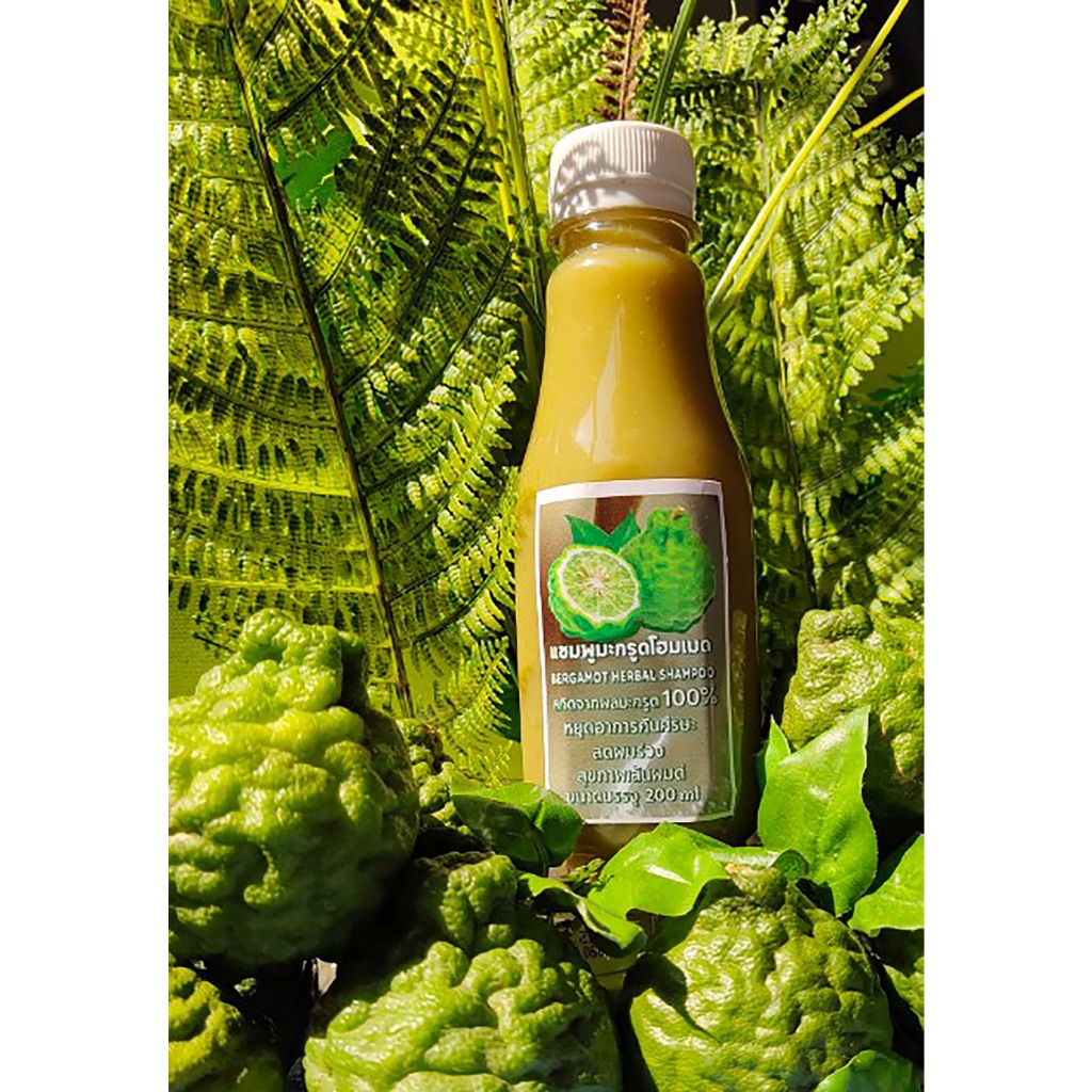 แชมพูมะกรูดโฮมเมด 250 ML 1 ขวด