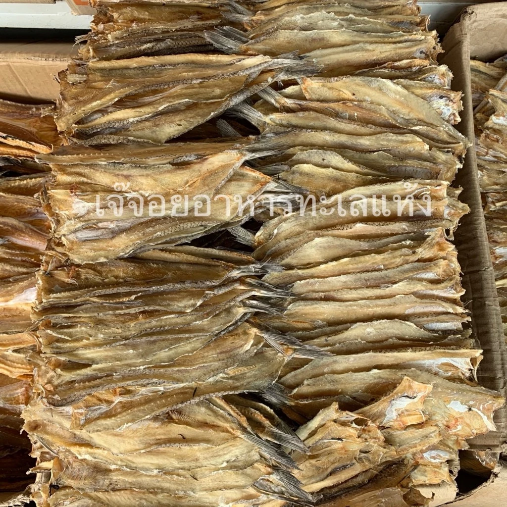 ปลาช่อนทะเล ปลาไล้กอ ตากแห้ง น้ำหนัก 500 กรัม (ครึ่งกิโลกรัม)