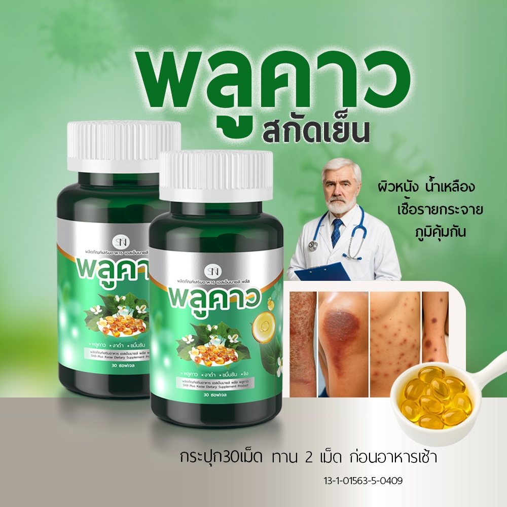 Mall-[ตะกร้าบริษัท] พลูคาวสกัดเย็น SN9 Plus Plu kaow