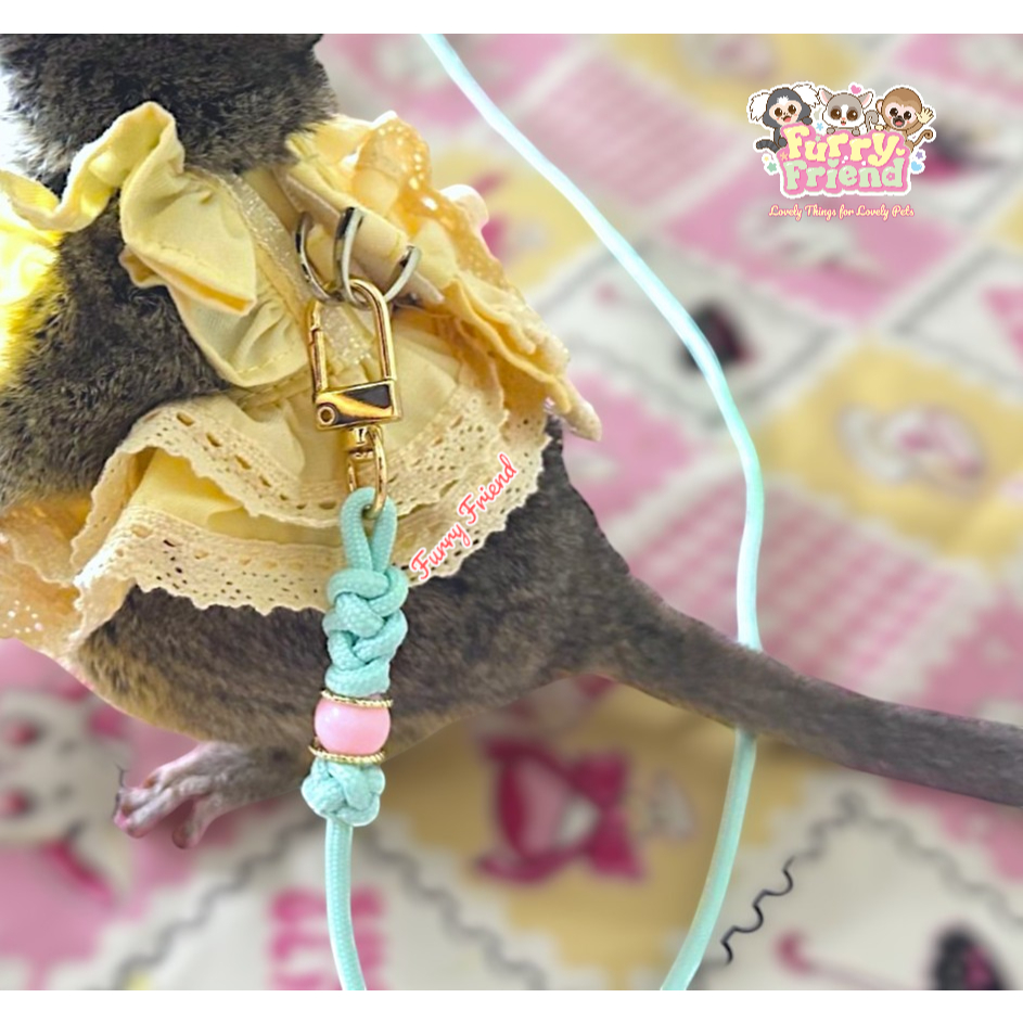 Bubble Leash เชือกจูงบุชเบบี้ ชูการ์ไกรเดอร์